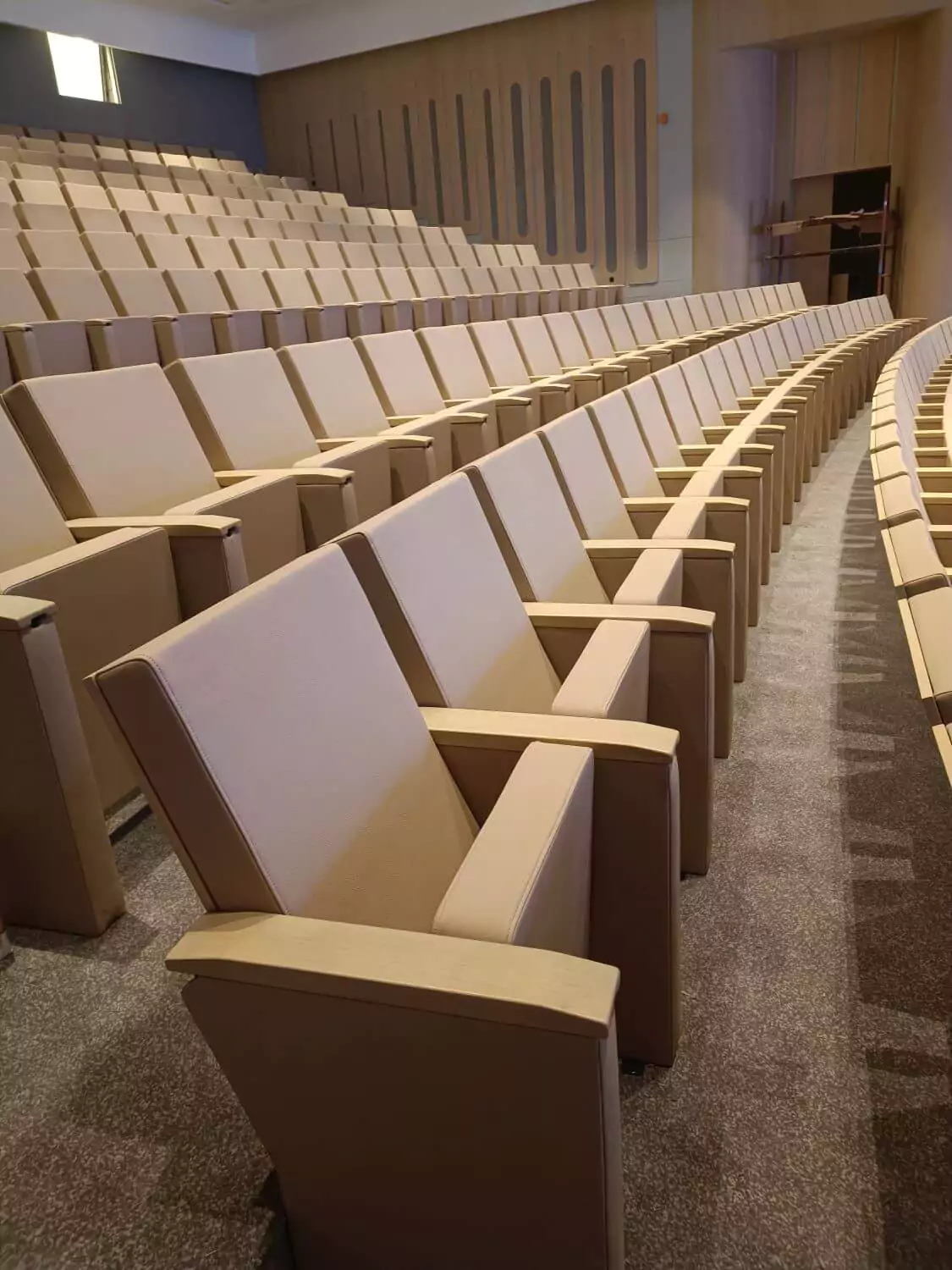 Custom auditorium seating solutions designed for this multi-purpose venue, combining functionality and elegance. Image